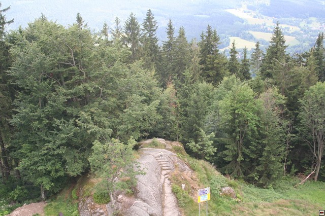 img00011.jpg